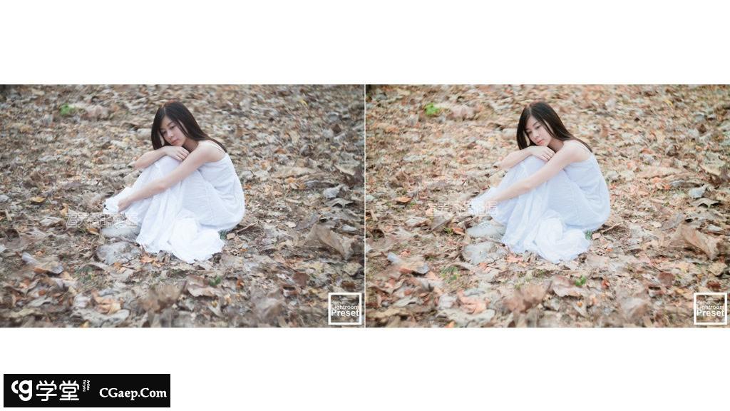 2a3272528dfa3cecaa1de6797730d6c2