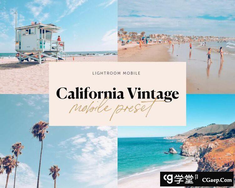 2b72c8a6b4a720ab86ba1d336b213424