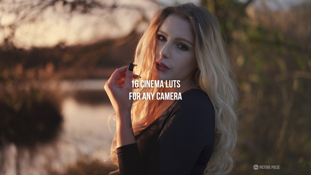 2b80969034bd3cdec3507c22f4c38051