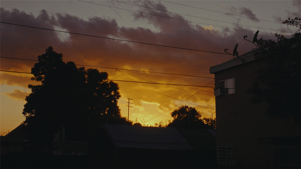 2c66ae3792261aa652a917c3502a84f6