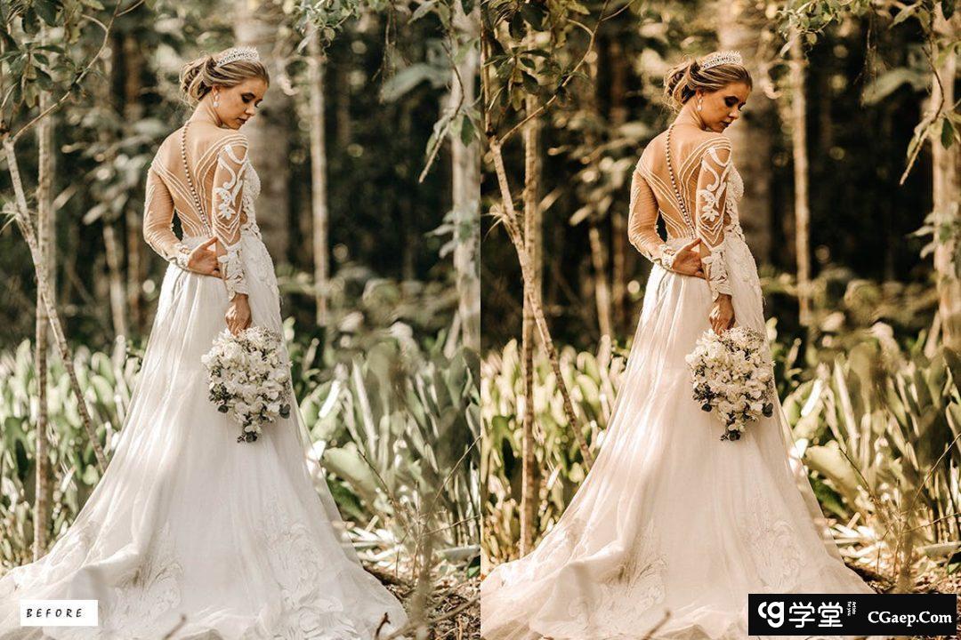 2c767c6b1a3902a950de34f33e7d220b