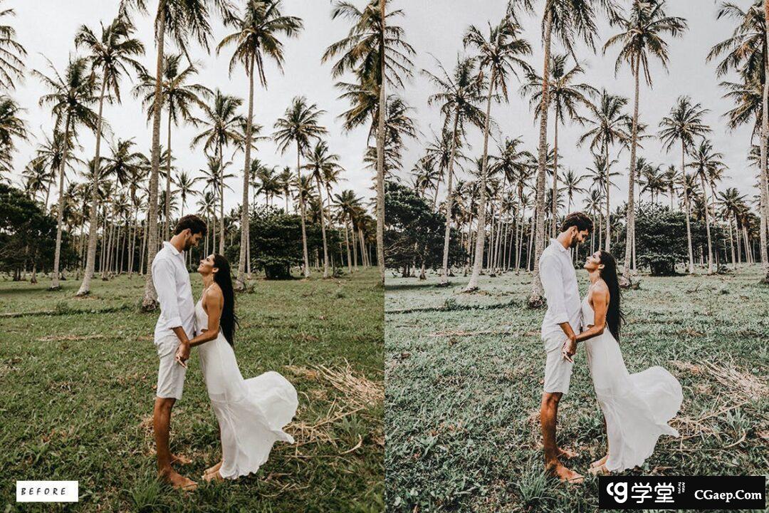 2f2a1cf2805173452bb332da816209aa