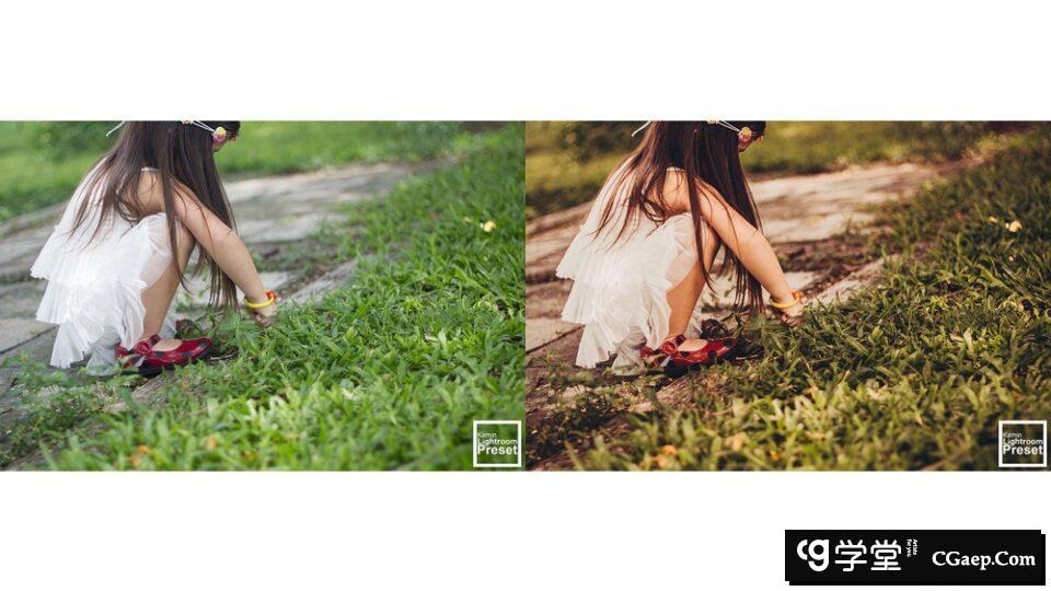 2fae14d840186e09106b2fdae1d32ee5