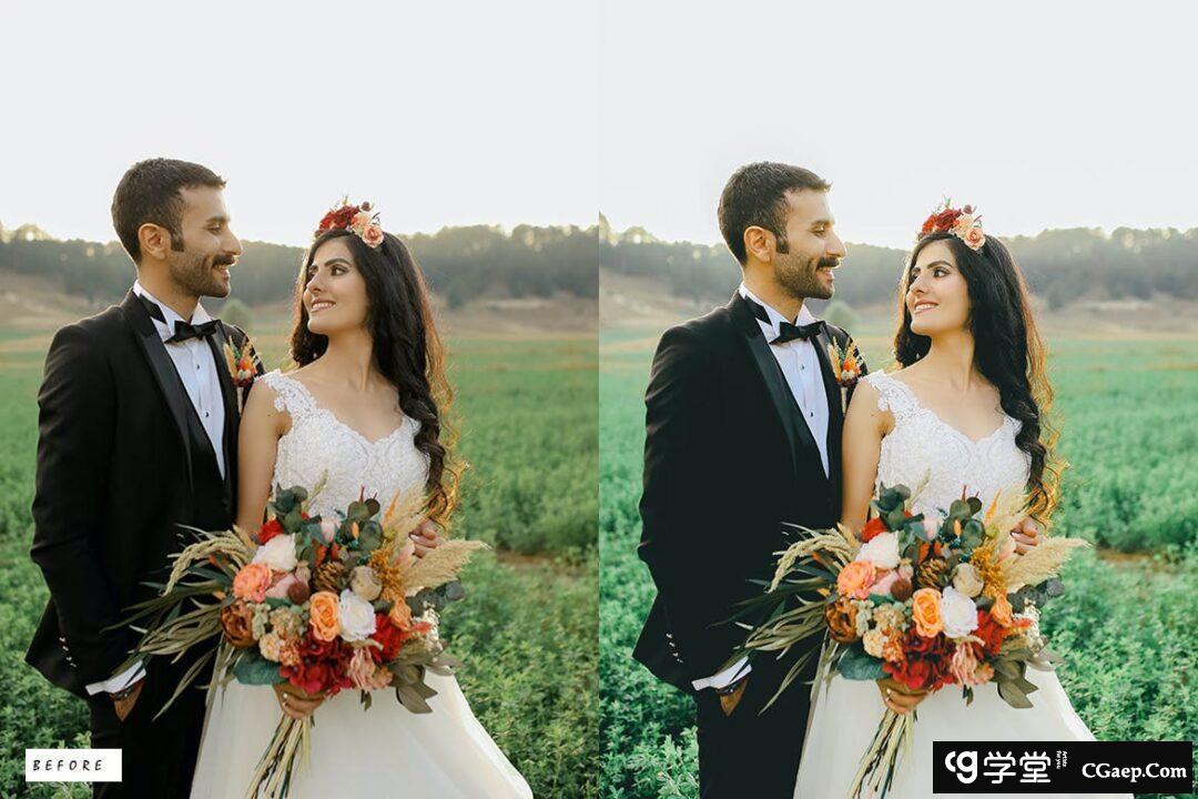 32d8553d03faed74d95b38b87561ca41