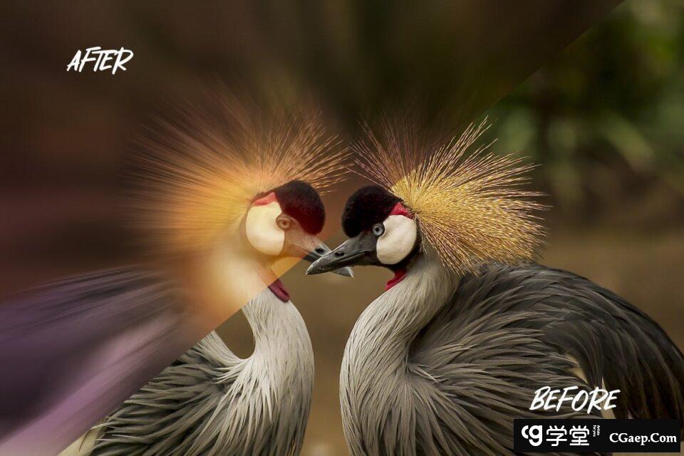 33ae0484a8f1530a0f54ca3448ef64a0