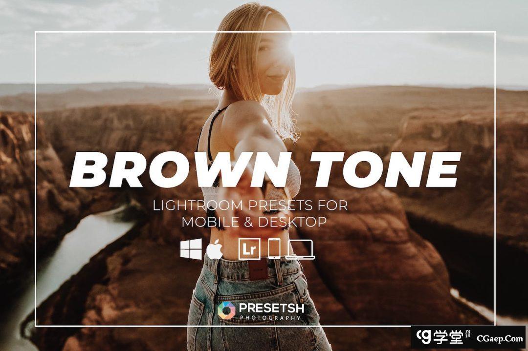 棕色旅拍电影风光人像Lightroom预设 Brown Tone Lightroom Presets
