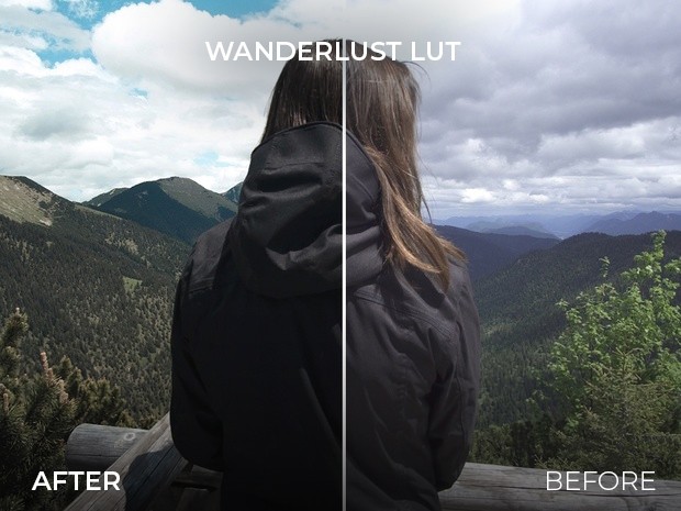 3561f2f1fbb48e8d661c72b8c4cc22b2