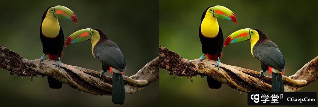 35d5e03e7f379b6db326e3a899eb3829