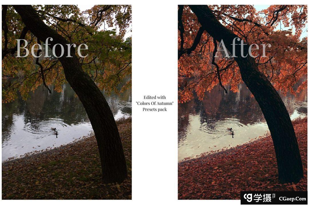 街头摄影师 Viktor Balaguer 秋天的色彩Lightroom预设 Colors Of Autumn