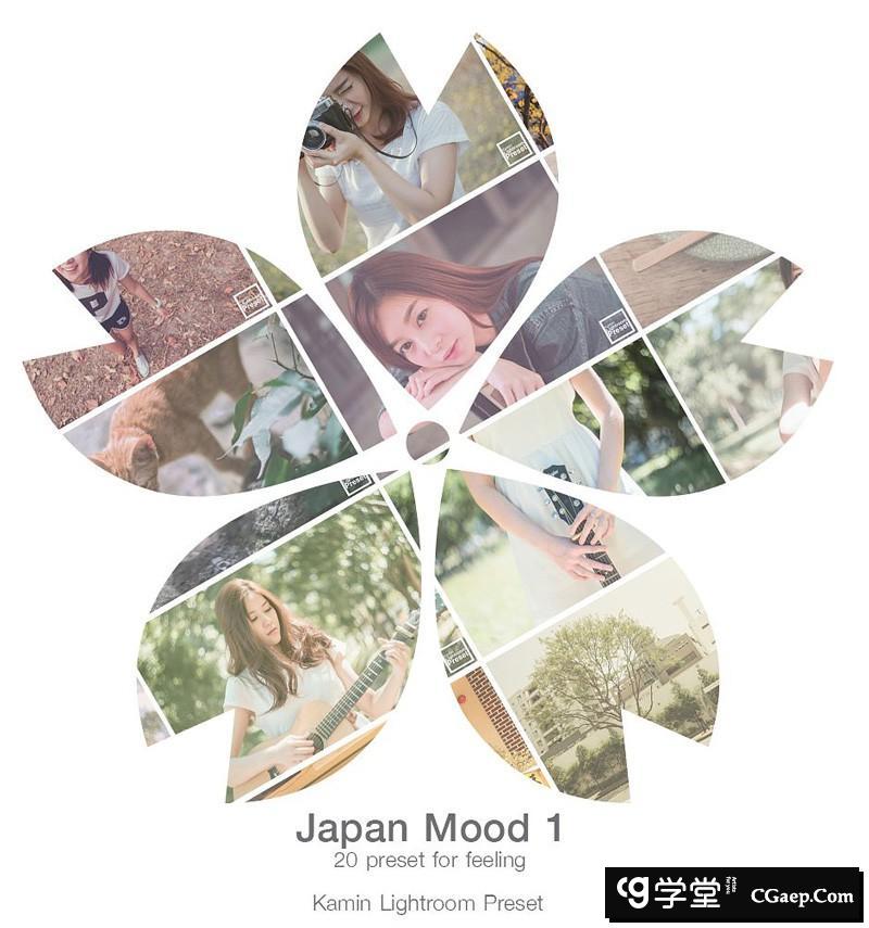 日系情绪Lightroom预设 Kamin Japan Mood 1