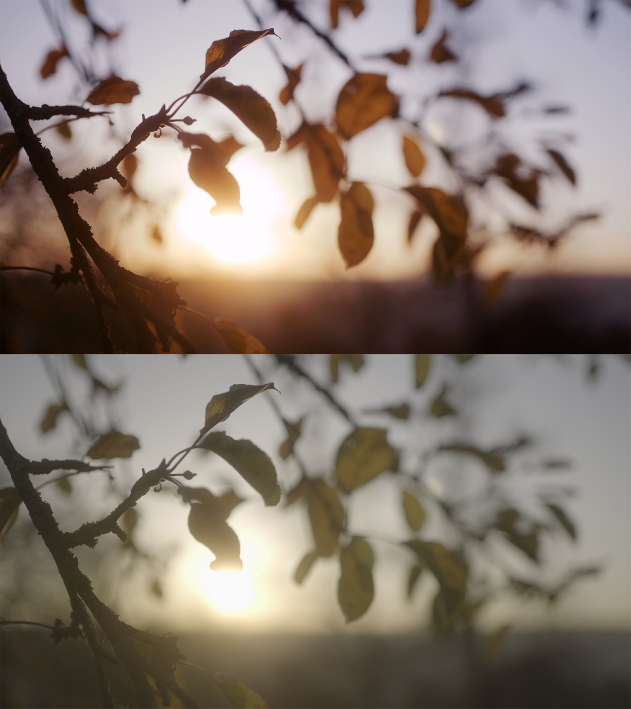 387e9cb1ab1b8dec86b01a3722bd284c