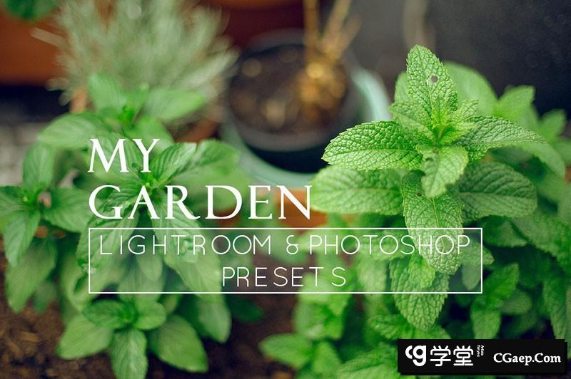 清新自然光Lightroom预设LR+ACR预设