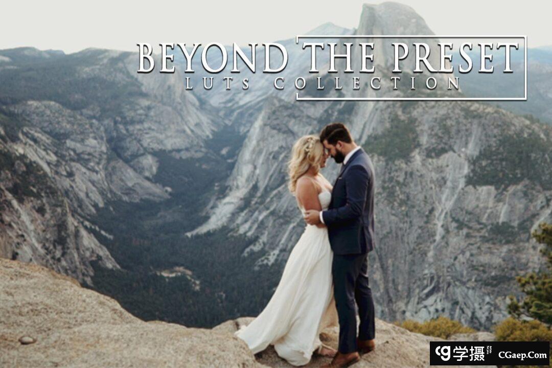 森系电影婚礼胶片LUT预设下载 Cinematic Wedding LUTs