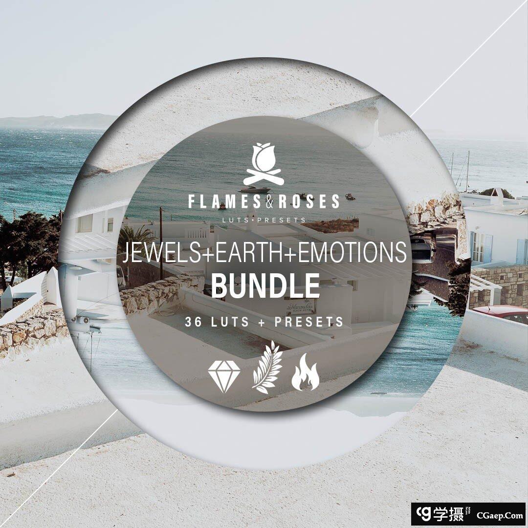 火焰和玫瑰-情感的欲望LUT预设 Flames and Roses – Emotions LUTs