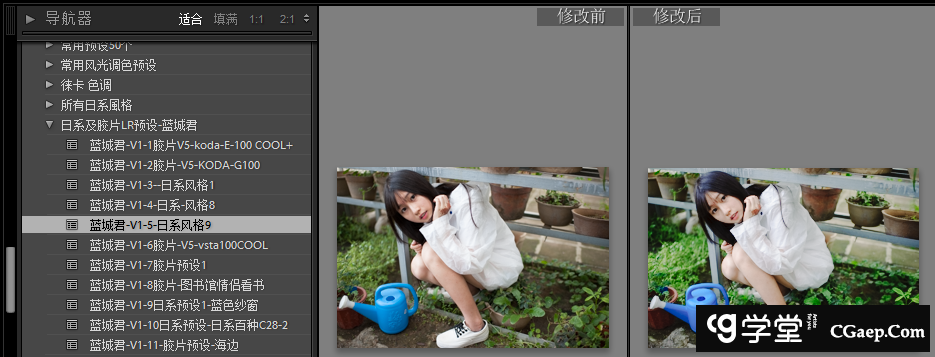 44293ec05b056bcf705abb9c13840b75