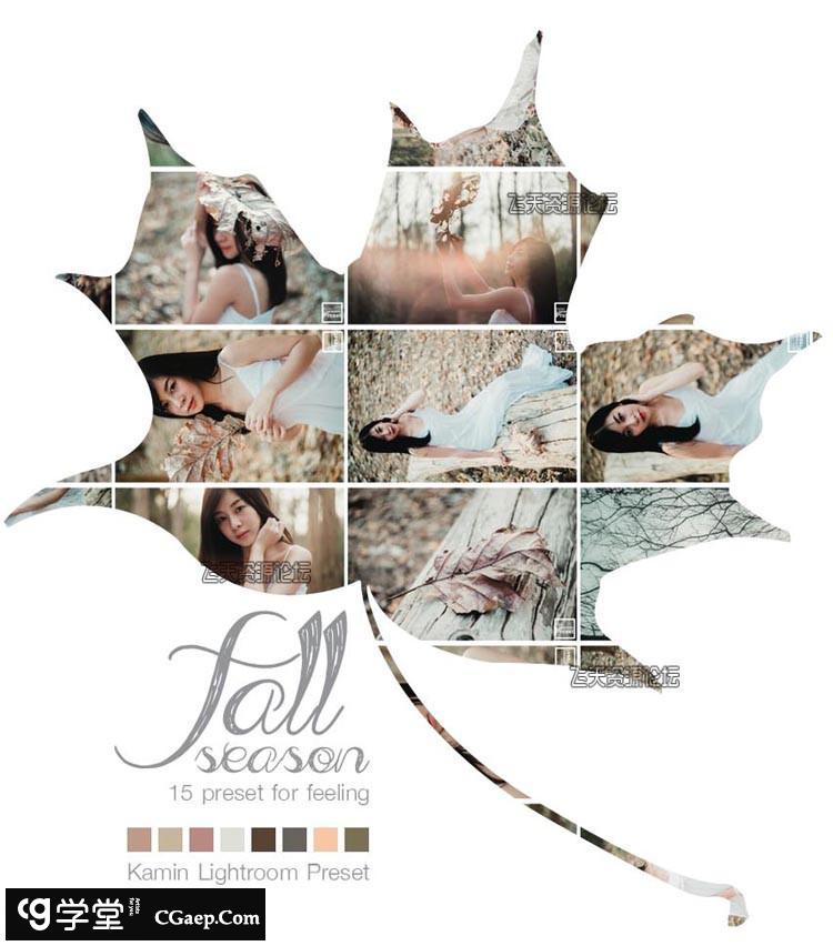 清新淡雅风Lightroom预设 Kamin – Fall Season Lightroom Presets