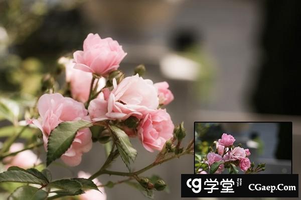 463f72c2f4036ce890edad37c8b6b981