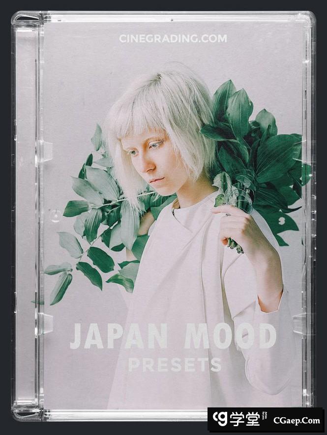 滨田英明(Hideaki Hamada)灵感的日系电影情绪心情LR预设+Capture One预设