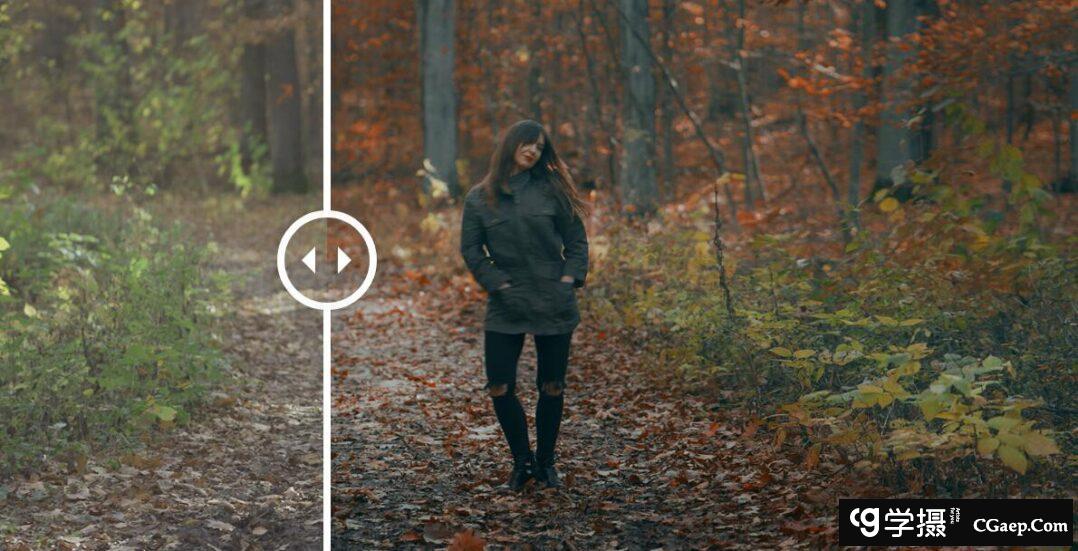 4bb6204e3040fa2cee483260736c61c8