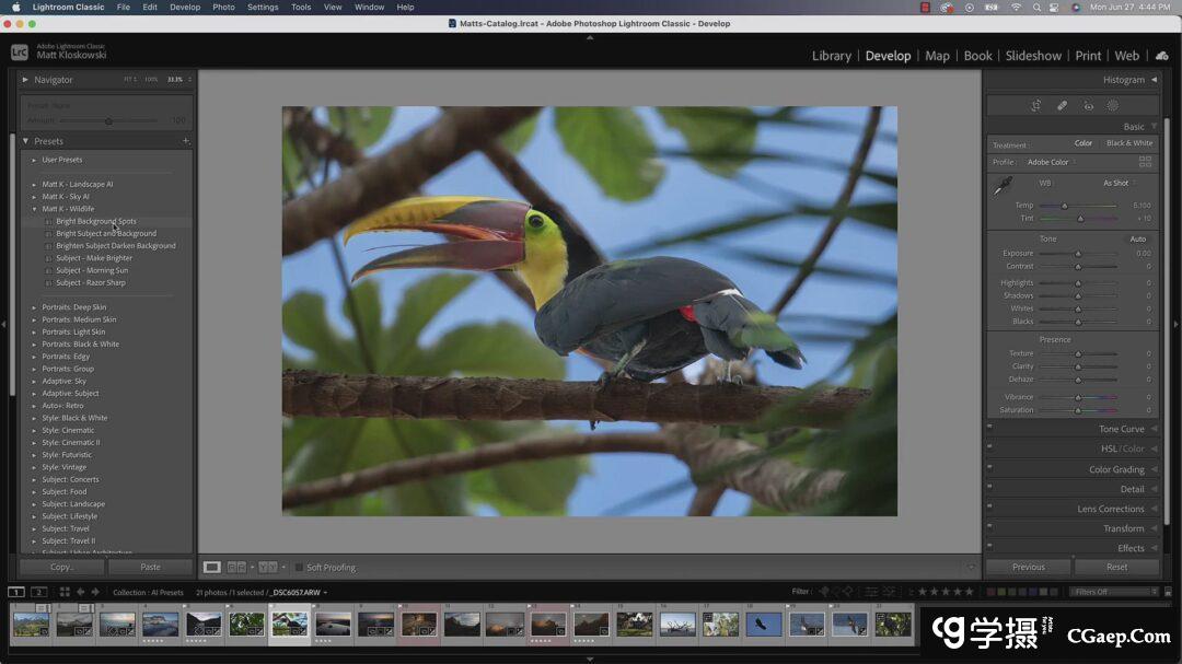 4ce6246e85b2e81737007064083f11a3