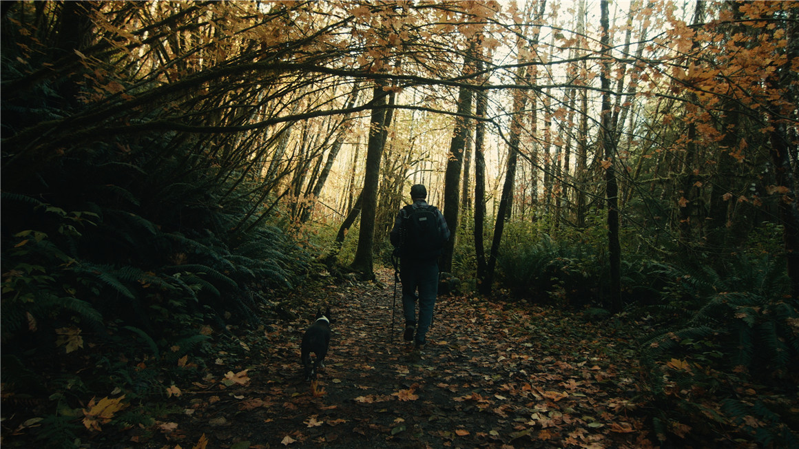 50232759f3999cc3af8e0f5150789937