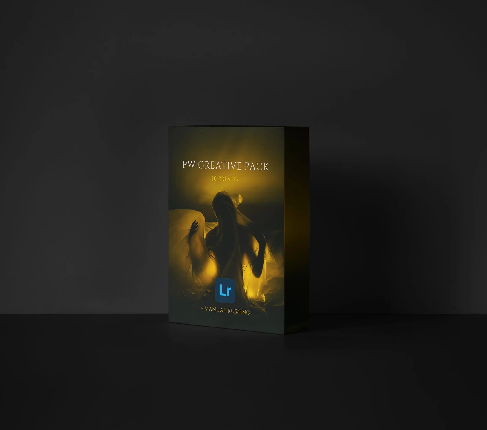 Polina Washington – “PW CREATIVE PACK” Lightroom 预设