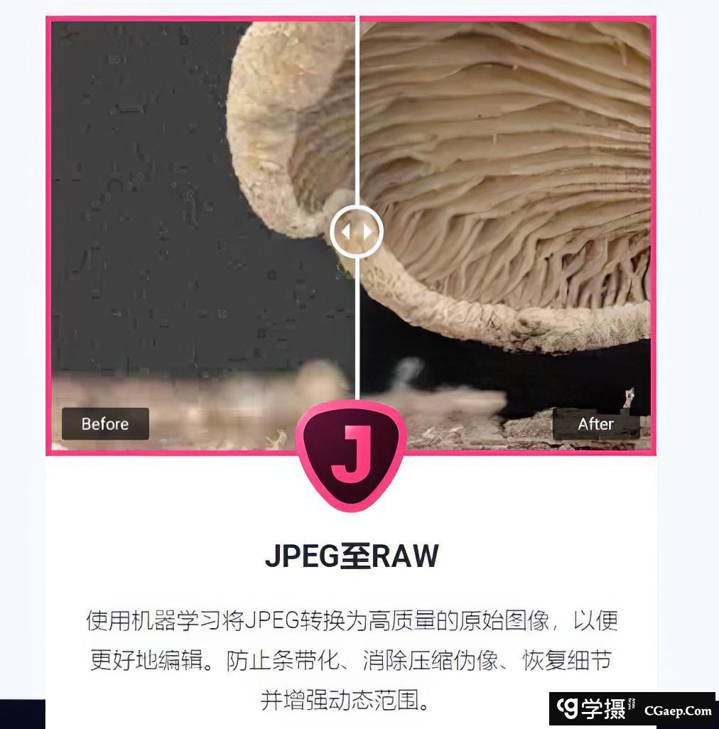 509514caf2f1f3094037d1b9d788625c