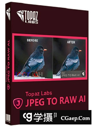 Topaz JPEG to RAW AI 汉化版(JPEG转RAW)Topaz JPEG to RAW AI v2.2.1中文版