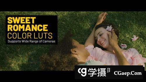 20个甜美的浪漫电影视频后期调色LUT预设Rec709转换LUT预设包