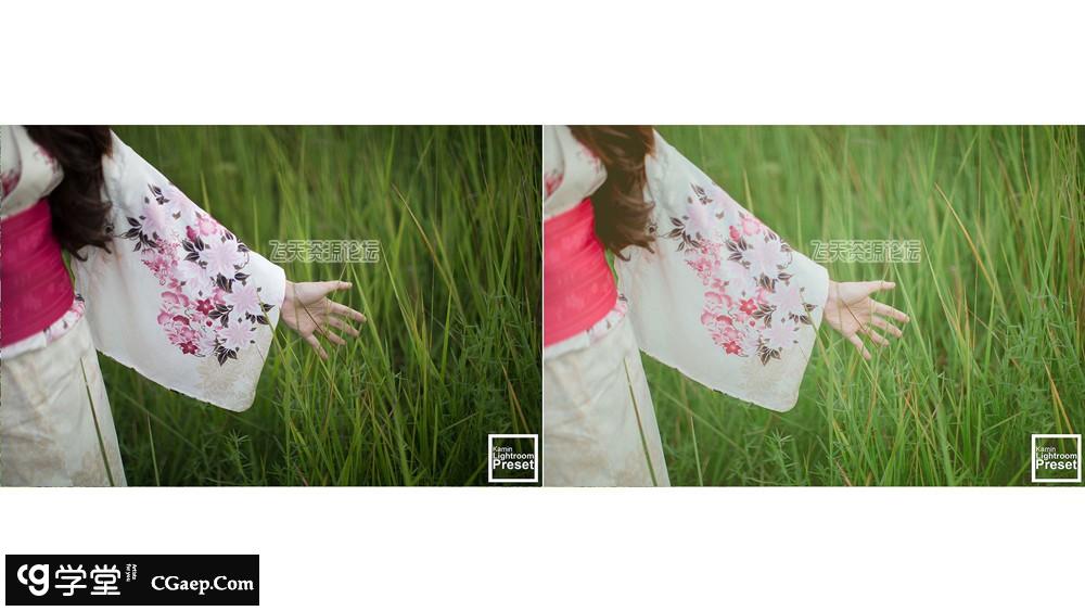 52a39b1633dd372ff1c015b7bee26d82