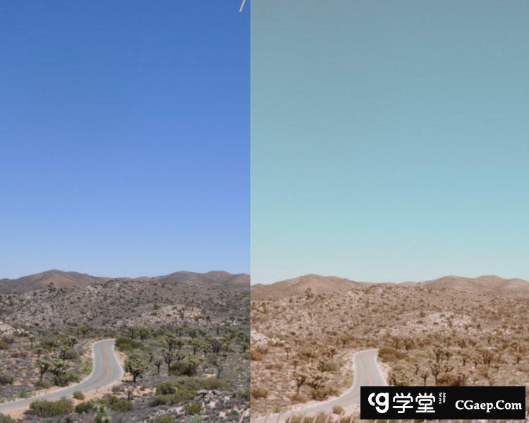 55137f56939351c5ab9f8af94f09ebe8