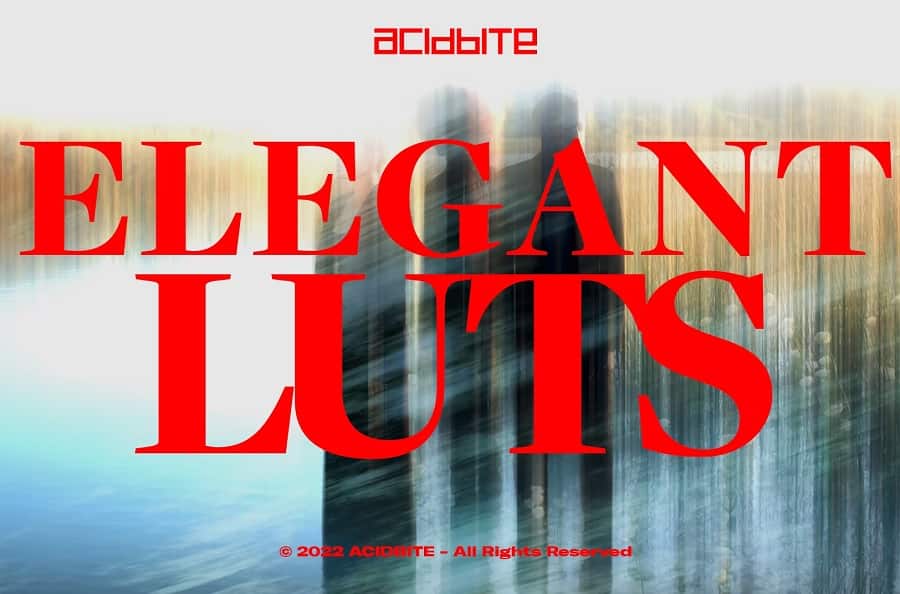 Acidbite 556个高级时尚浪漫唯美柔光婚礼视频风格化LUT调色预设 ELEGANT LUTS