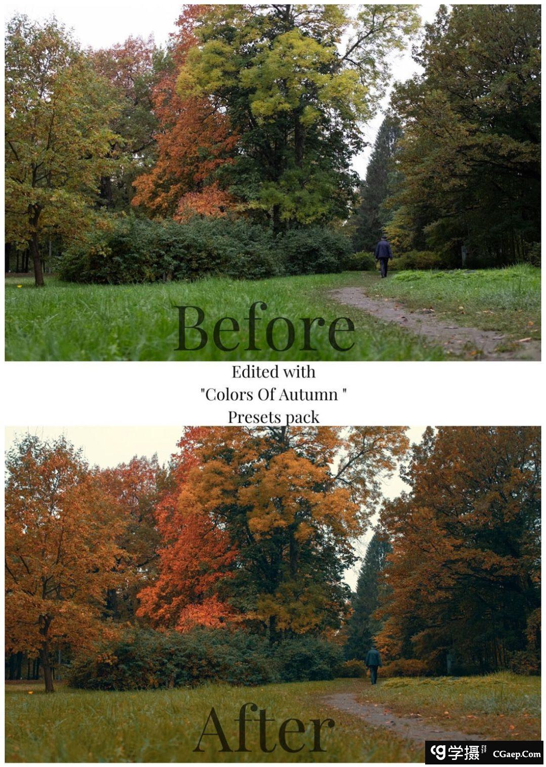 街头摄影师 Viktor Balaguer 秋天的色彩Lightroom预设 Colors Of Autumn