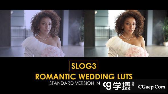 15个浪漫婚礼MV视频LUT调色预设Slog3及Rec709预设 支持/FCPX/PR/PS