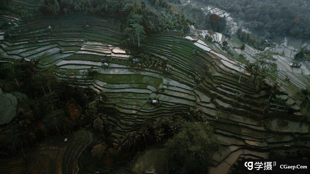 5acee104525a41f308489eb1f9293897