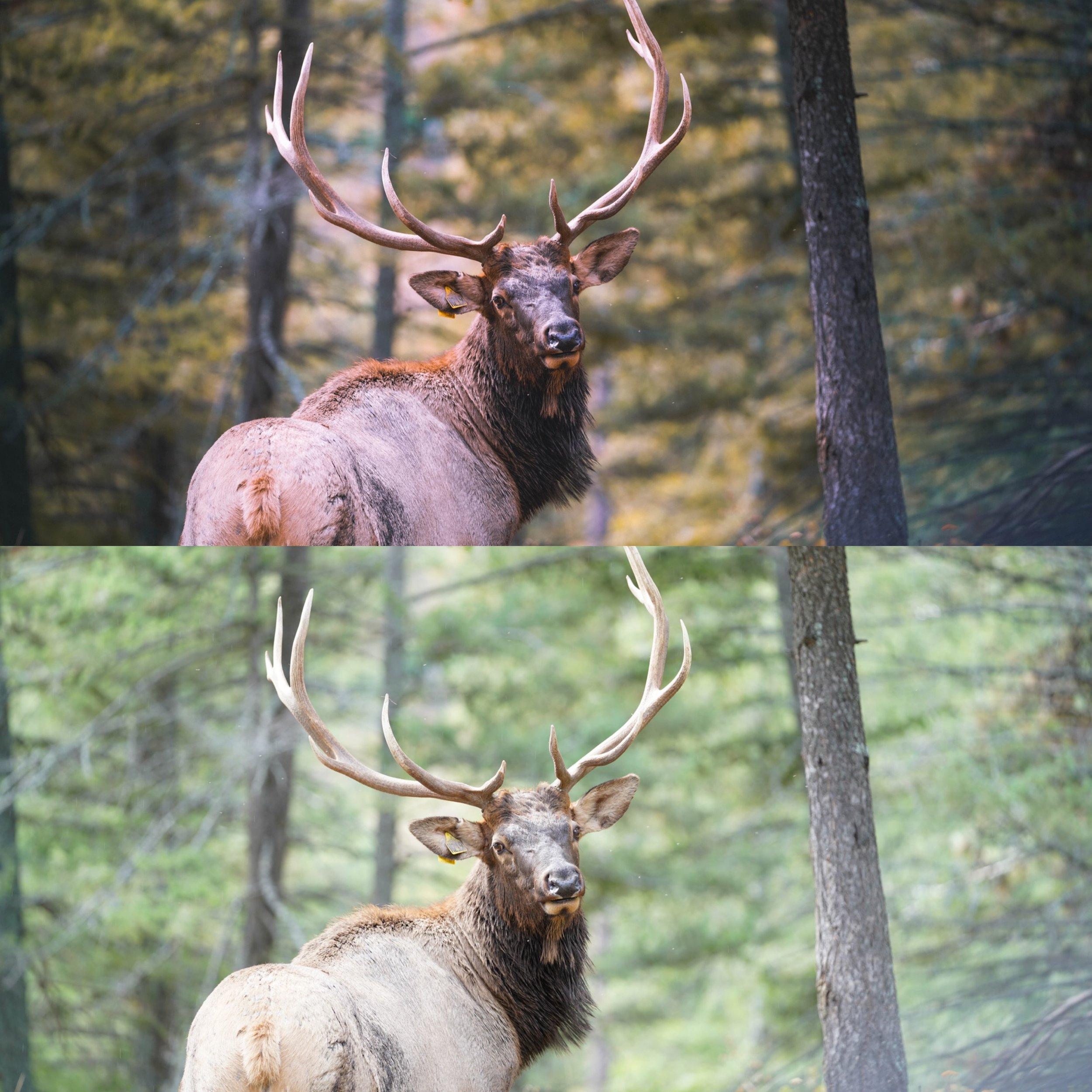 5c69cdf4c333863ec6ef691e76823919