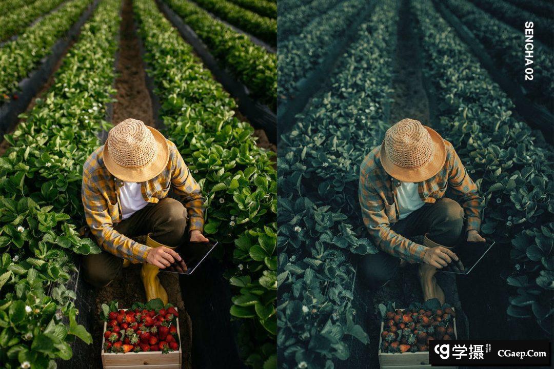 5e775a4d10c7236ef7fe7a036e32a3aa 5e775a4d10c7236ef7fe7a036e32a3aa