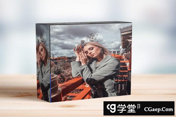 黑暗和喜怒无常人像后期移动版LR预设 25 BEE COOL Lightroom Presets