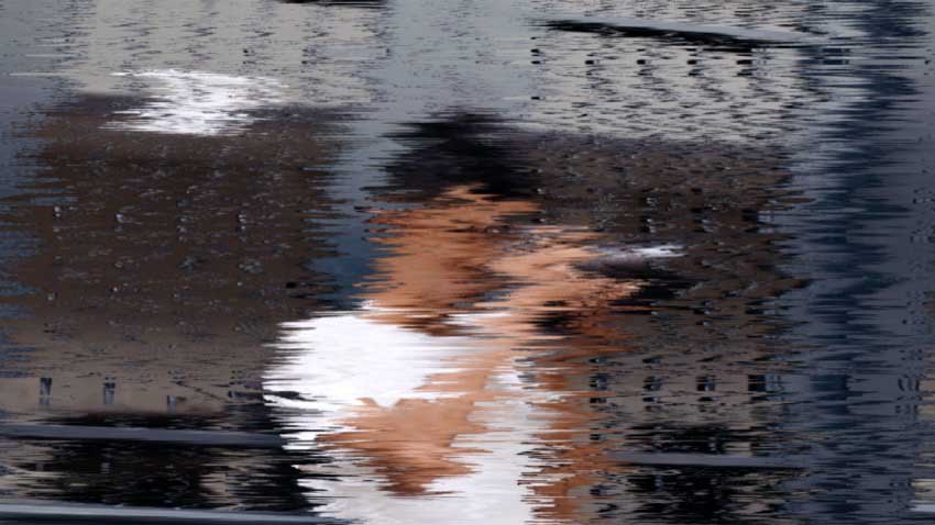 64b8299d1597b8a5c7b9cb9c88642f6c-1