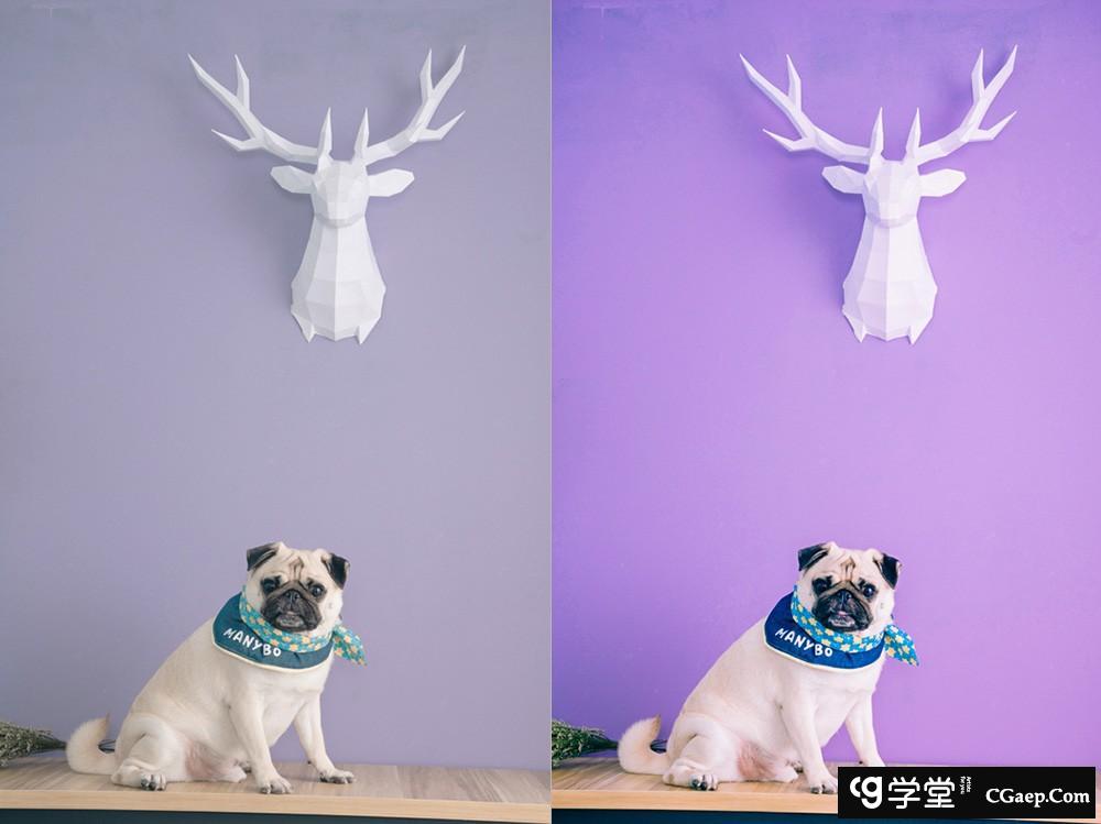 时尚紫色调风光人像Lightroom调色预设 OnPresets- PURPLE TONE