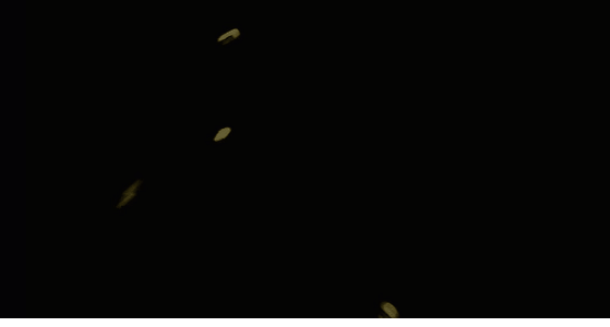 6bcd34c6038efaa96fd8a2dada6f5a5f