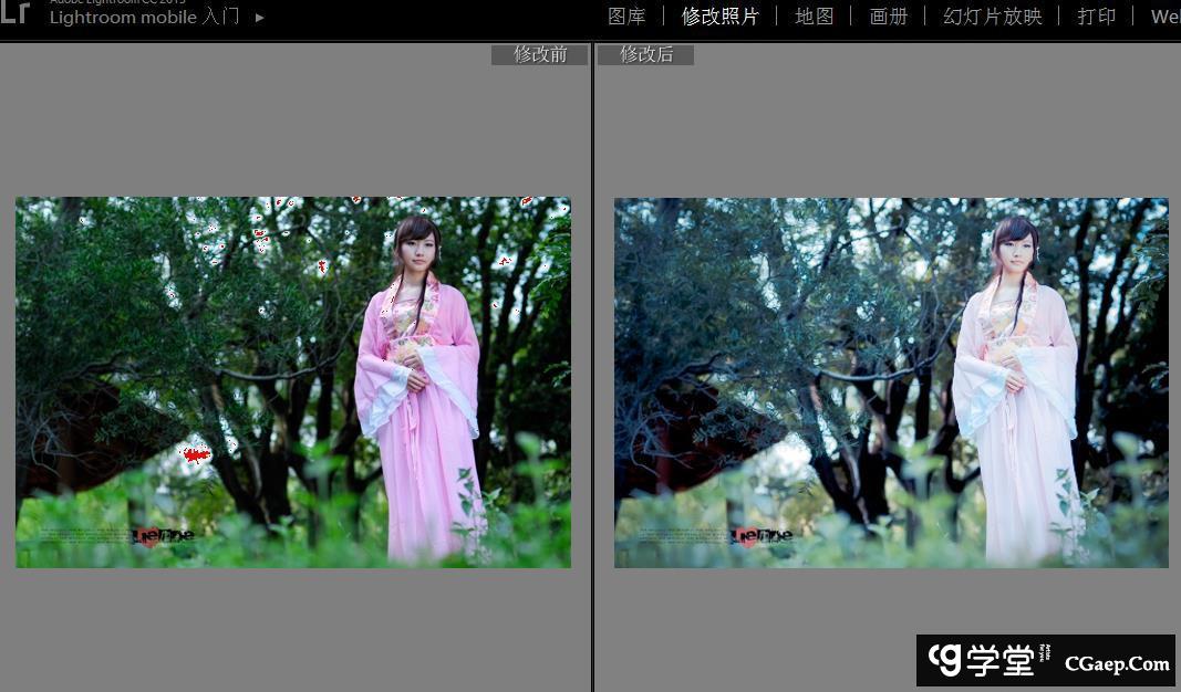 6c40f4983f4eef403c5cf75f80e03d06