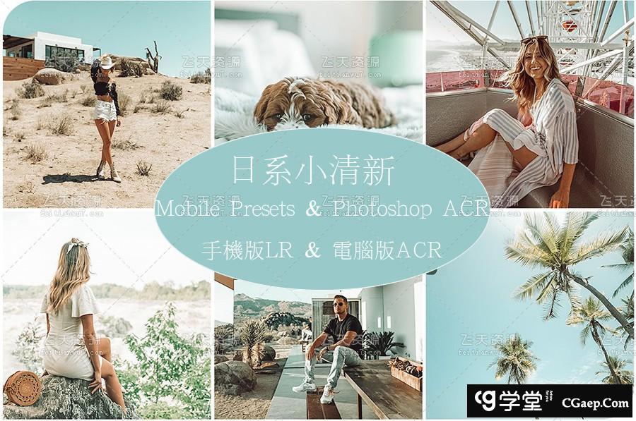 流行日系小清新Lightroom预设 Camera Raw ACR预设+手机版LR预设