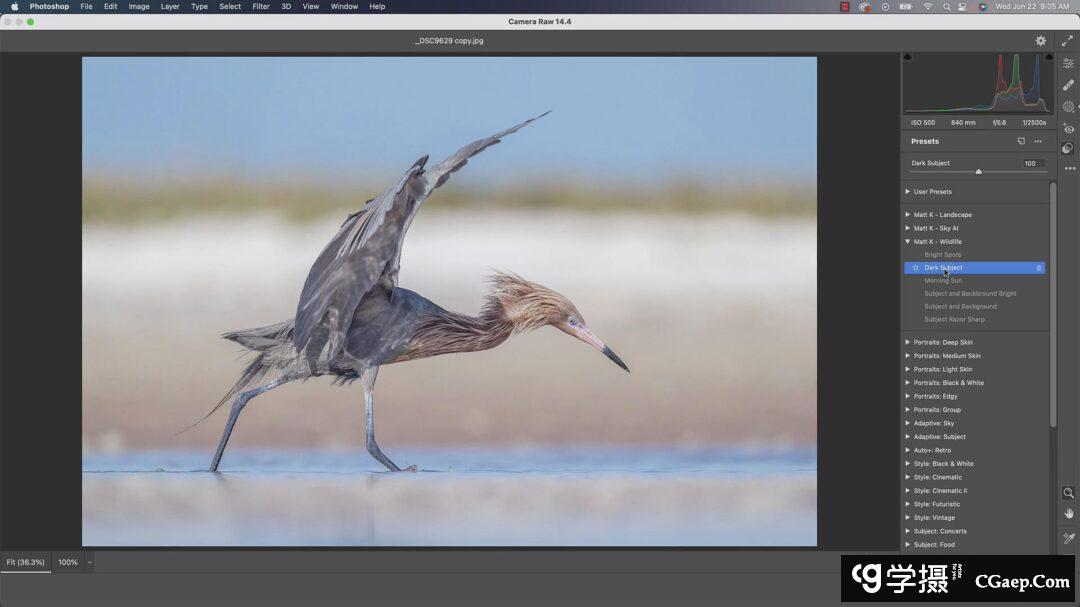 6e817fee8d0323462d3aa6831d0887fe