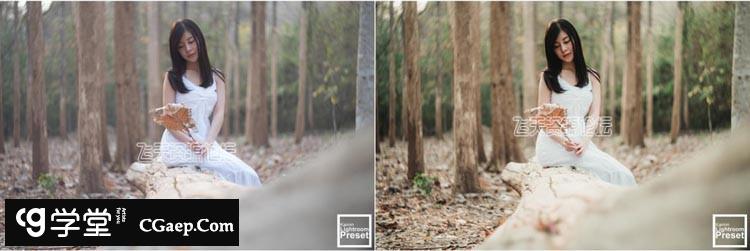 6ec0386e2b24f2b3ccdca102e83ed609