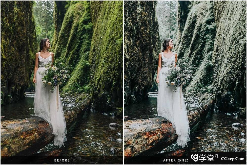 70ba96bc8a59f3532d965cb5d9e10f24