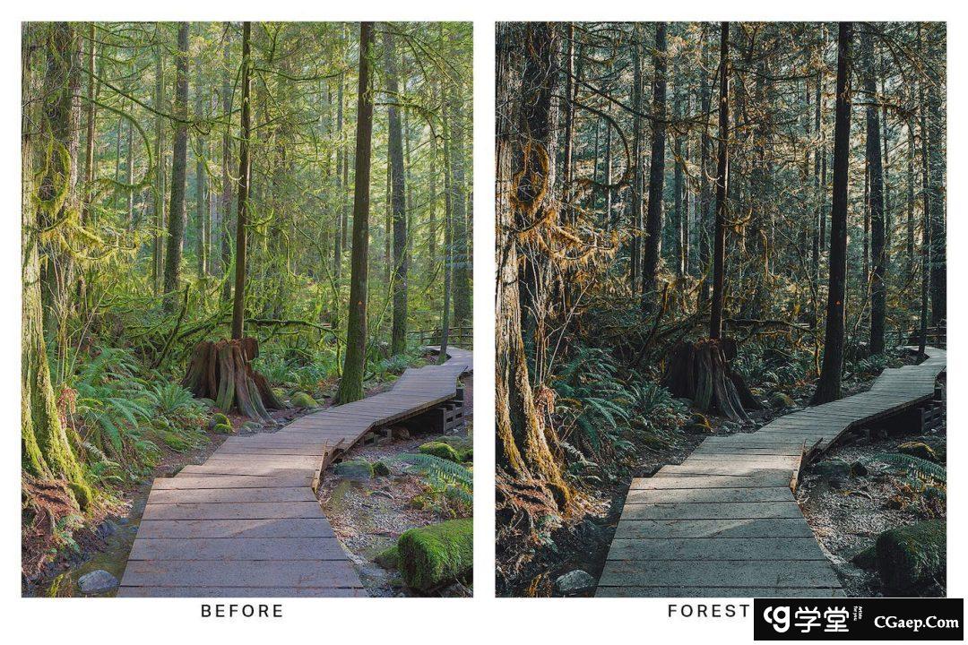 74ea13de1abda12de21df3ca1e037fdf 旅行者社交媒体电影风格Lightroom预设机旅拍视频调色LUT预设