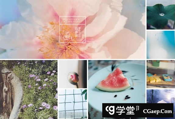 7280f6cdce0d550c9cd8e7443d3a1b04