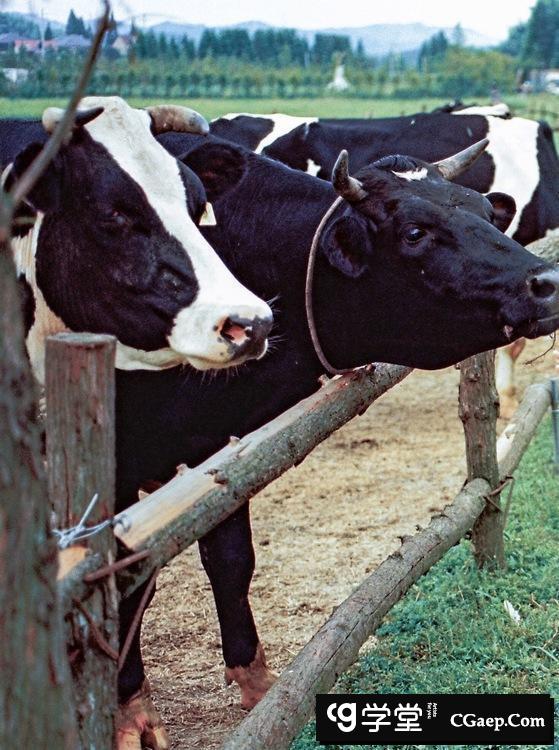 73695f3adac4f458616342b162160583