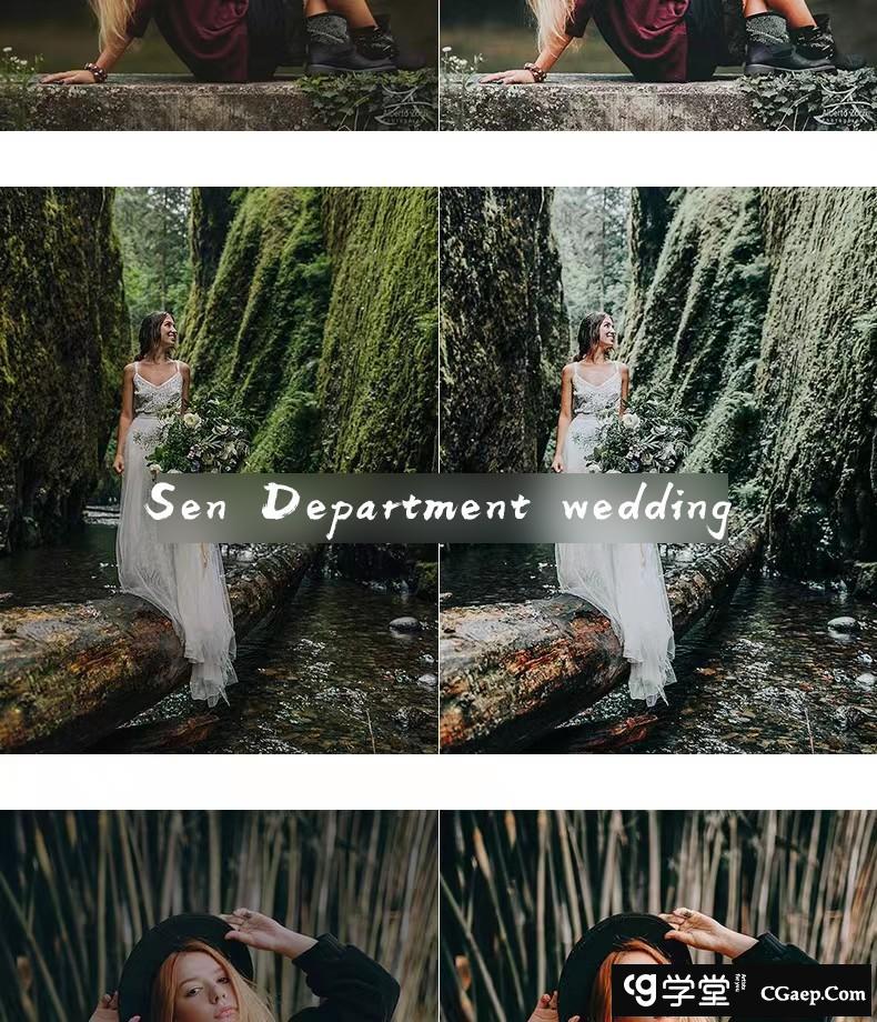 75d4df2f3798b656768be71d745e5903